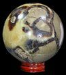Polished Septarian Sphere - With Stand #43862-2